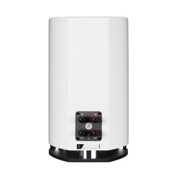 Fyne-Audio_0008_F701SP-Rear-Piano-Gloss-White-600x600